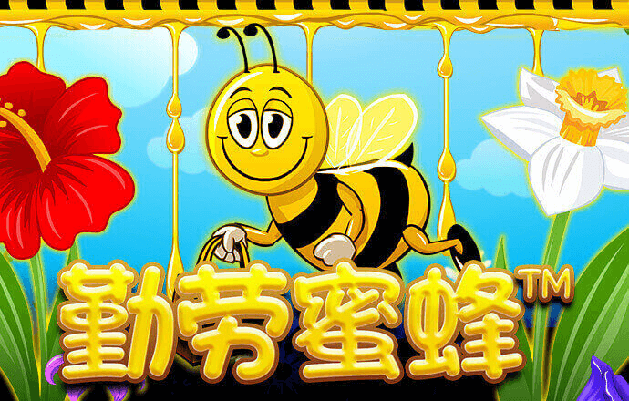 诺亚体育app官网